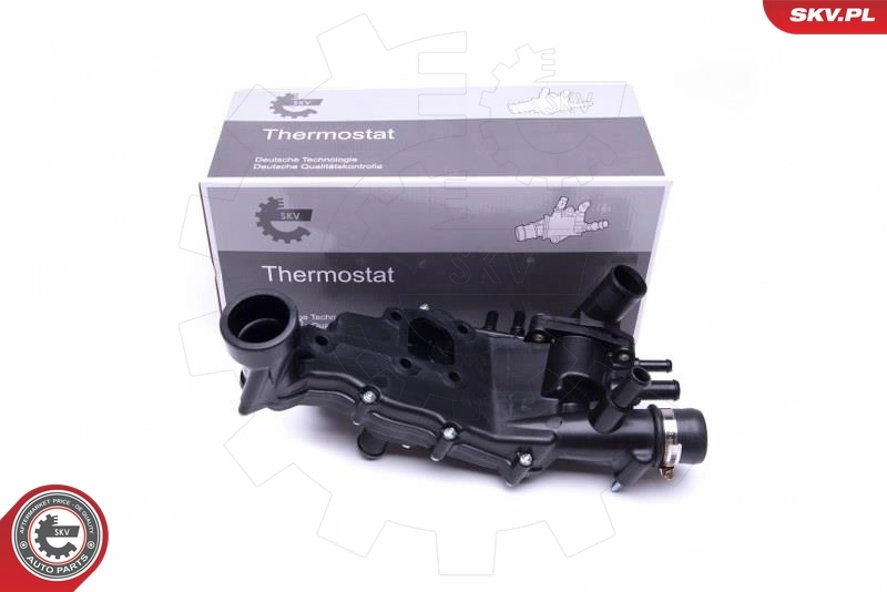 Thermostat, coolant